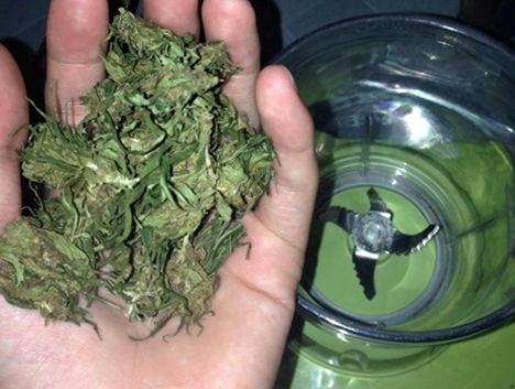 Cảnh giác với chiêu lừa đảo tiên dược cần sa y tế