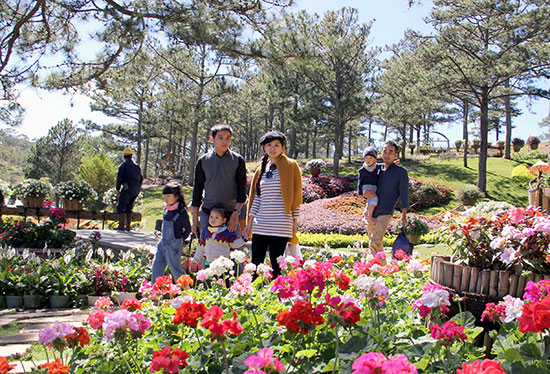 Triển vọng du lịch vườn phố núi