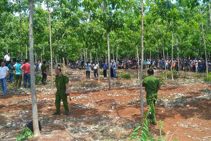 Tạm giữ nghi can giết người trong lô cao su