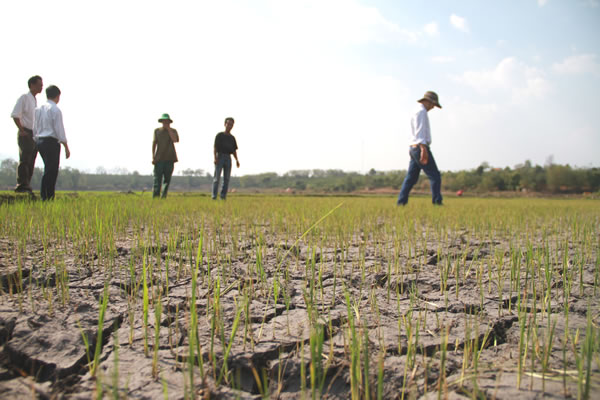 Hạn và bài học từ hạn