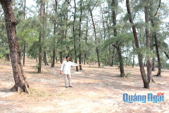 Nước ngầm ven biển ngày càng suy giảm