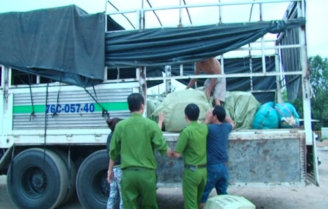 Quảng Ngãi Bắt giữ hơn 700kg heo sữa không rõ nguồn gốc