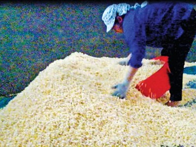 Hãi hùng bim bim bán cổng trường