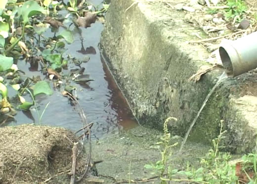 Đua nhau đầu độc dòng sông