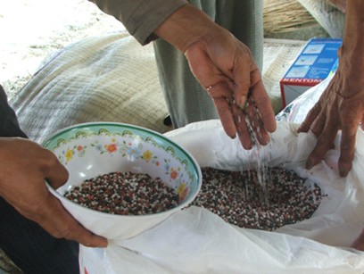 Xử lý hàng giả hàng nhái vẫn theo kiểu bấm ngọn tỉa cành