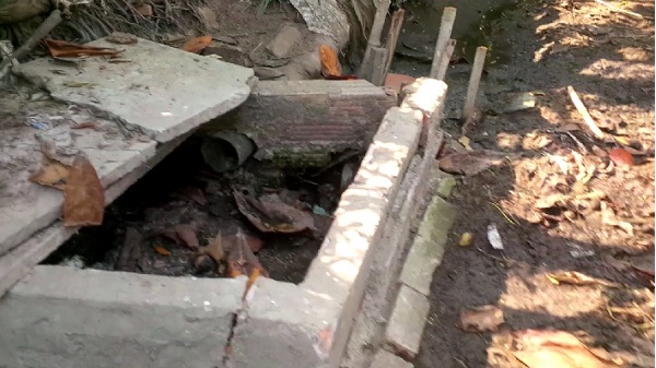 TP HCM Sẽ xóa sổ tất cả cơ sở giết mổ thủ công