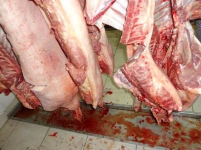 TPHCM Báo động tình trạng dư kháng sinh trong sản phẩm động vật