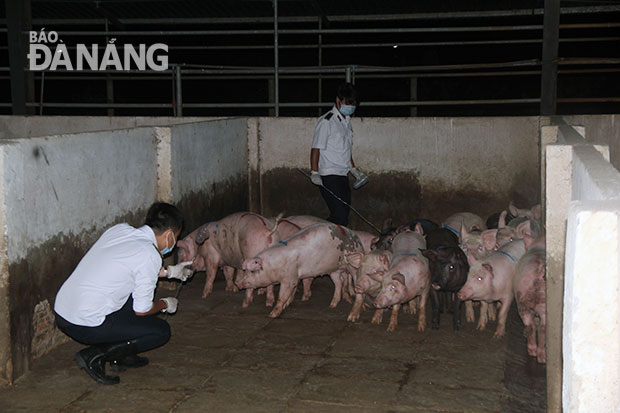 Triển khai quản lý thực phẩm theo chuẩn