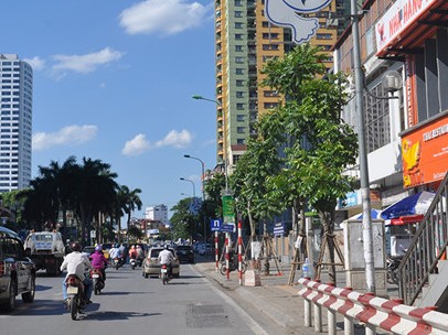 Sau vụ đốn hạ cây xanh Những con đường oằn mình dưới nắng thiêu đốt