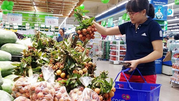 Saigon Co op lên kế hoạch tiêu thụ 500 tấn vải tươi cho nông dân
