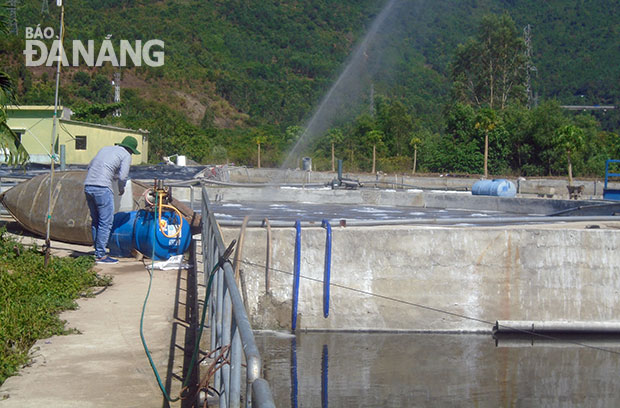 Ngày càng nghiêm trọng