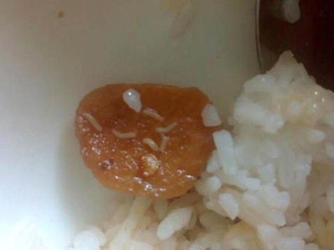 Ăn thực phẩm có giòi nguy hiểm ra sao