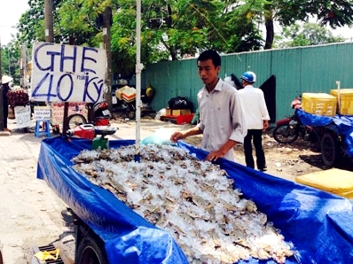 Ghẹ Vũng Tàu siêu rẻ bán đầy đường Sài Gòn