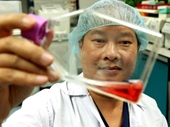 Bác sĩ Việt biến dây rốn thành nguồn cung 6 tỷ tế bào gốc