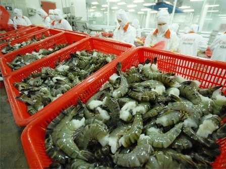 Doanh nghiệp lo mất thị trường vì kháng sinh