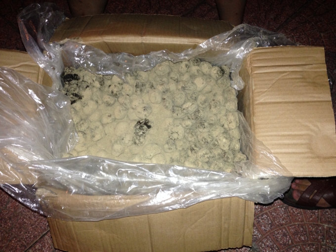 Gần 1,4 tấn viên thuốc Đông y không rõ nguồn gốc bị xử trảm