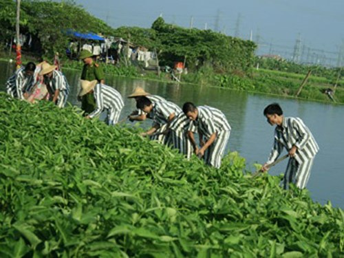 Từ 1-7, mở rộng áp dụng hình phạt không giam giữ