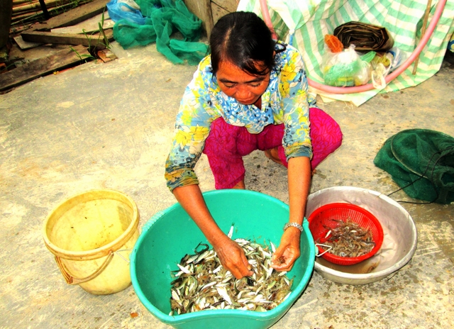 Cá đồng ngày càng khan hiếm