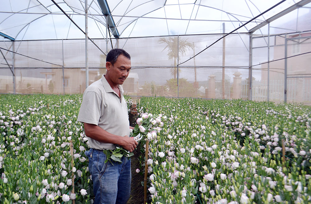 Thạnh Mỹ và chuyện về đại gia chân đất