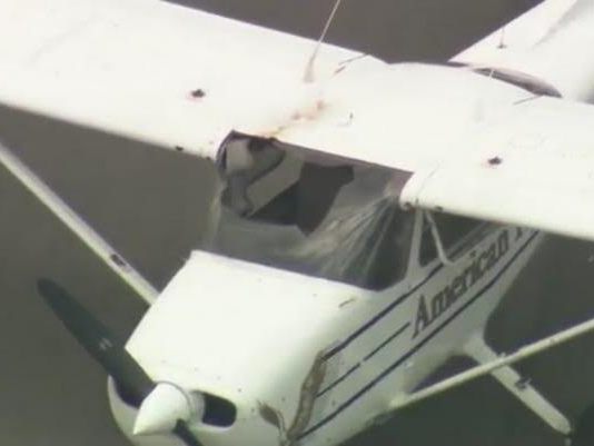 Máy bay hạ cánh khẩn cấp vì bị chim đâm thủng kính