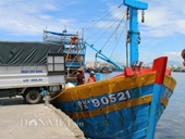 Cảng cá lớn nhất miền Trung Giá cá rớt thê thảm sau vụ Formosa