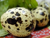 Muốn sống lâu, mỗi ngày nên ăn 5-6 trứng cút