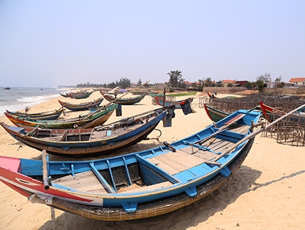 Quảng Bình thiệt hại 4 000 tỷ đồng sau sự cố môi trường biển