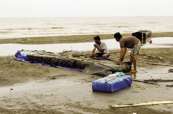Nghêu chết hàng loạt, người nuôi nghêu đứng trước nguy cơ vỡ nợ