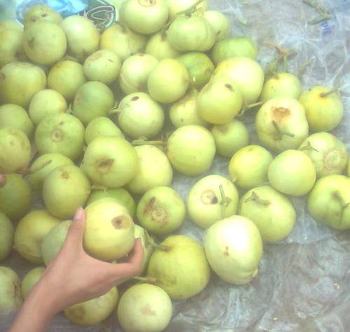 Độc hại…dưa lê ngậm hóa chất