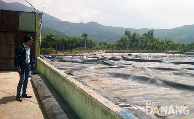 Bảo vệ môi trường Nhiều doanh nghiệp vi phạm nghiêm trọng