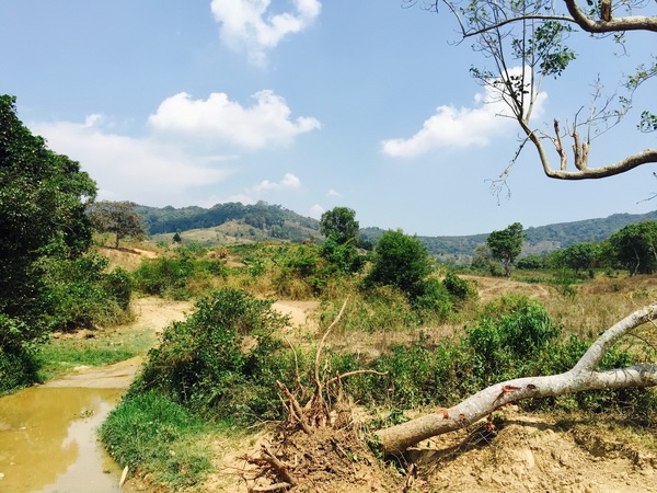 Bí ẩn hòn đá tím khổng lồ bên sườn núi Karam - Kỳ 1