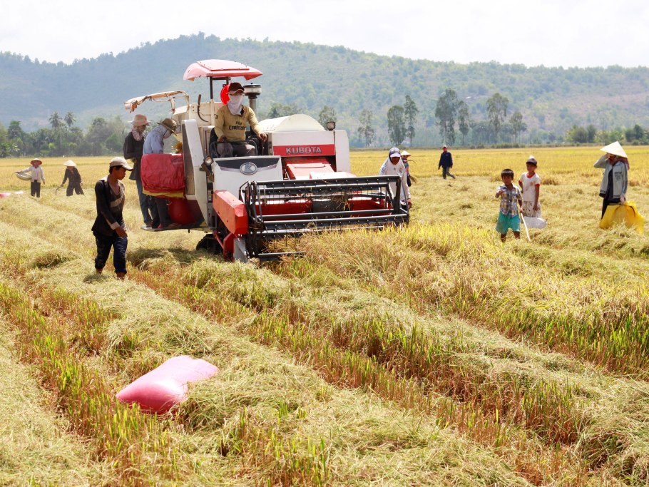 6 tháng đầu năm, nông nghiệp không tăng trưởng