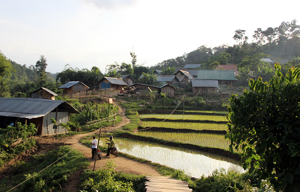 Chênh vênh giữa đại ngàn