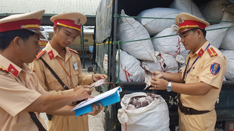 Phát hoảng với những chuyến xe chở hàng tấn mực thối