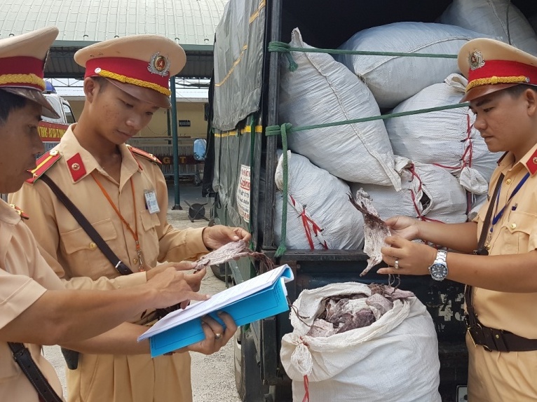 Bắt xe tải chở 2 tấn mực khô nổi rêu, nấm mốc