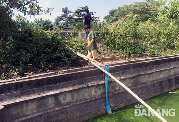 Trung tâm giết mổ gia súc, gia cầm Xả trộm nước thải ra môi trường