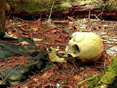 Mùi hôi thối nồng nặc tố cáo kẻ sát nhân trong rừng Kỳ 1