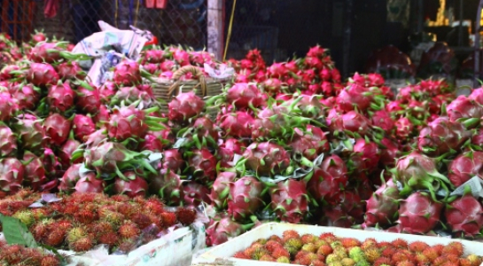 Giá bán buôn một số mặt hàng trái cây mùa hè tại một số tỉnh ĐBSCL giảm mạnh (Ảnh: PD)