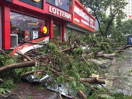 Bão số 1 gây thiệt hại nặng nề cho các địa phương