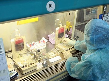 Cha mẹ giữ lại cuống rốn cho con, cần những gì