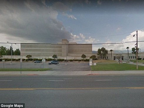 Bị bắt vì  trèo tường để vào tù