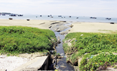 Đà Nẵng Cống ven biển xả thải ra gây ô nhiễm bãi biển