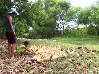 Ưu tiên, hỗ trợ chuyển đổi nghề cho người dân 4 tỉnh miền Trung