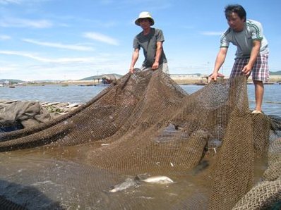 Thanh Hóa xé rào bổ nhiệm 8 phó giám đốc Sở Nông nghiệp