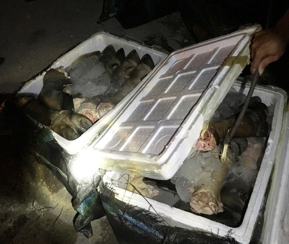  CSGT Thừa Thiên - Huế bắt giữ hàng trăm kg chân trâu bốc mùi trên xe khách từ Thanh Hòa vào Bình Dương