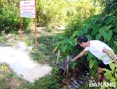 Nước thải từ KCN Hòa Cầm chảy ra thượng lưu nhà máy nước Cầu Đỏ Lo ngại chất lượng nước sinh hoạt