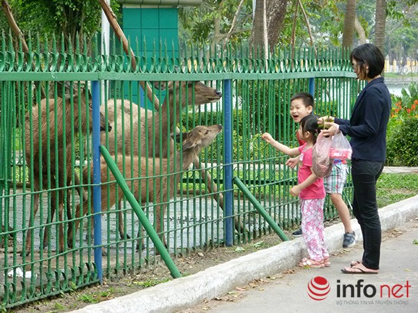 Đà Nẵng Phê duyệt hơn 204ha đất xây dựng dự án Thảo Cầm Viên