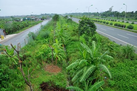 Hà Nội bỏ hàng loạt hạng mục chi phí cắt cỏ, tỉa cây