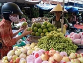 Nở rộ trái cây Trung Quốc núp bóng hàng Việt