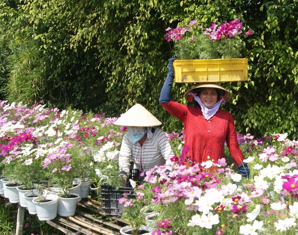 Các ngành hàng chuyển biến tích cực